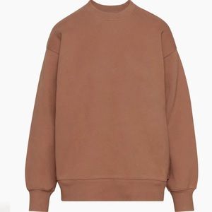 In search of: Aritzia boyfriend teddy bear brown sweatshirt